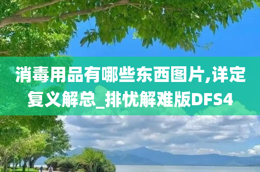 消毒用品有哪些东西图片,详定复义解总_排忧解难版DFS4