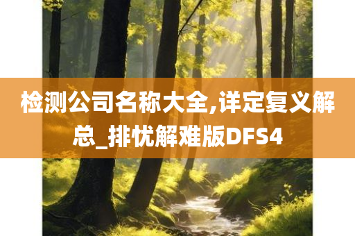 检测公司名称大全,详定复义解总_排忧解难版DFS4