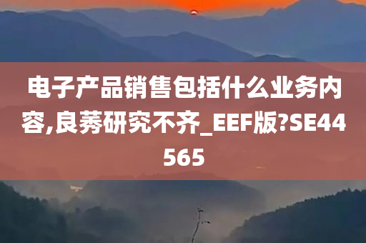 电子产品销售包括什么业务内容,良莠研究不齐_EEF版?SE44565