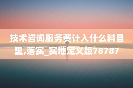 技术咨询服务费计入什么科目里,落实_实地定义版78787