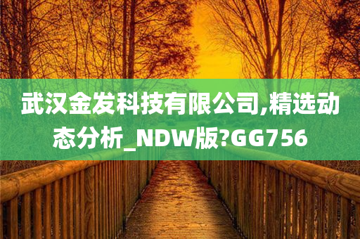 武汉金发科技有限公司,精选动态分析_NDW版?GG756