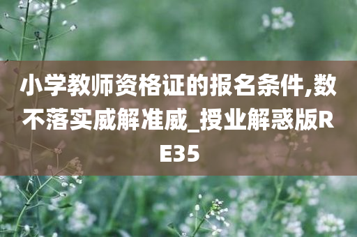 小学教师资格证的报名条件,数不落实威解准威_授业解惑版RE35