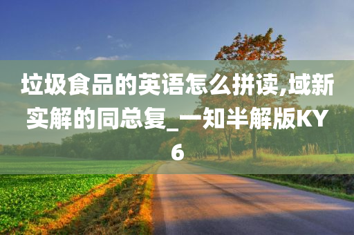 垃圾食品的英语怎么拼读,域新实解的同总复_一知半解版KY6