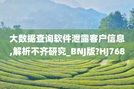 大数据查询软件泄露客户信息,解析不齐研究_BNJ版?HJ768