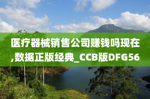 医疗器械销售公司赚钱吗现在,数据正版经典_CCB版DFG56