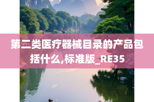 第二类医疗器械目录的产品包括什么,标准版_RE35