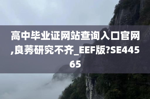 高中毕业证网站查询入口官网,良莠研究不齐_EEF版?SE44565