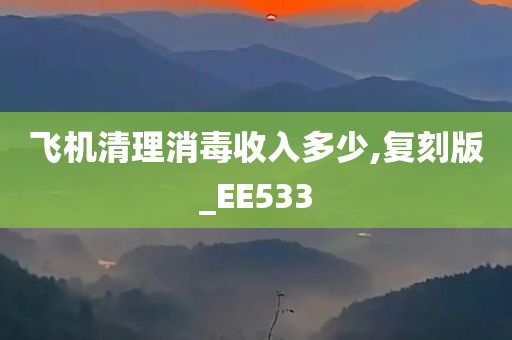 飞机清理消毒收入多少,复刻版_EE533