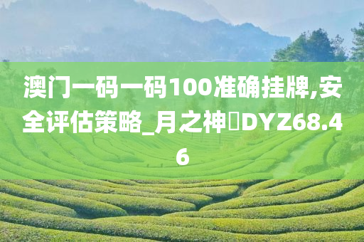 澳门一码一码100准确挂牌,安全评估策略_月之神衹DYZ68.46