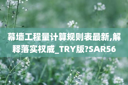 幕墙工程量计算规则表最新,解释落实权威_TRY版?SAR56