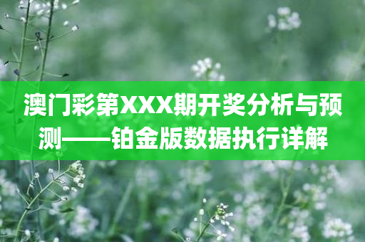 澳门彩第XXX期开奖分析与预测——铂金版数据执行详解