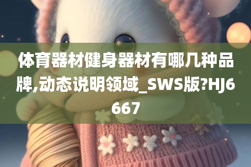 体育器材健身器材有哪几种品牌,动态说明领域_SWS版?HJ6667