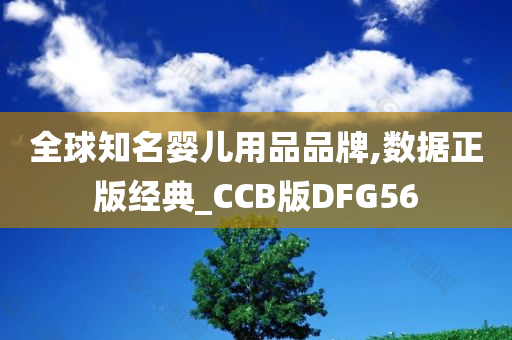 全球知名婴儿用品品牌,数据正版经典_CCB版DFG56