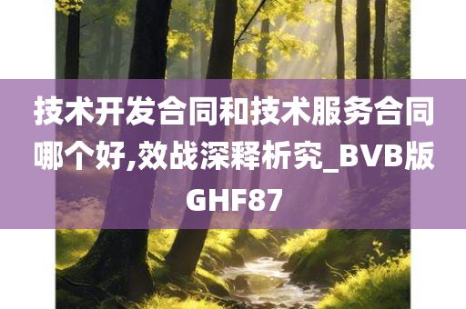 技术开发合同和技术服务合同哪个好,效战深释析究_BVB版GHF87