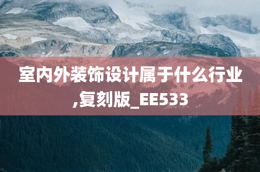 室内外装饰设计属于什么行业,复刻版_EE533