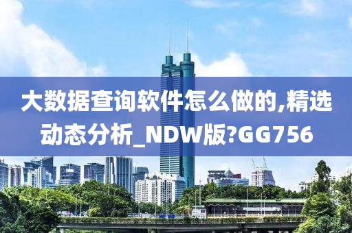 大数据查询软件怎么做的,精选动态分析_NDW版?GG756