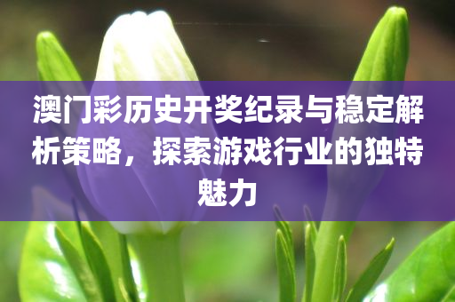 澳门彩历史开奖纪录与稳定解析策略，探索游戏行业的独特魅力