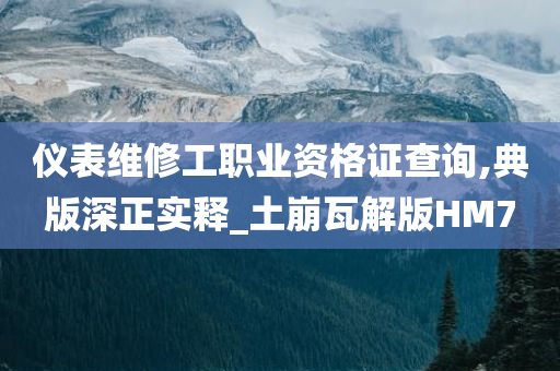 仪表维修工职业资格证查询,典版深正实释_土崩瓦解版HM7