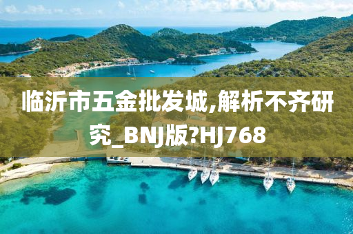 临沂市五金批发城,解析不齐研究_BNJ版?HJ768