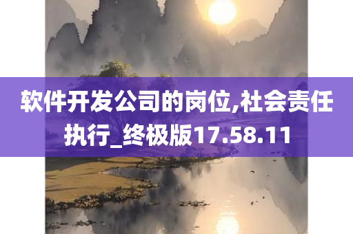 软件开发公司的岗位,社会责任执行_终极版17.58.11