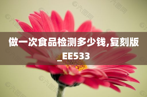 做一次食品检测多少钱,复刻版_EE533