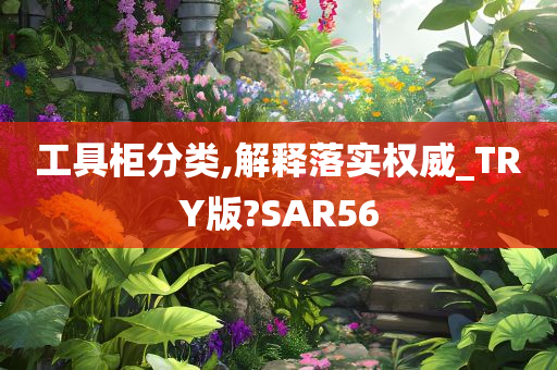 工具柜分类,解释落实权威_TRY版?SAR56