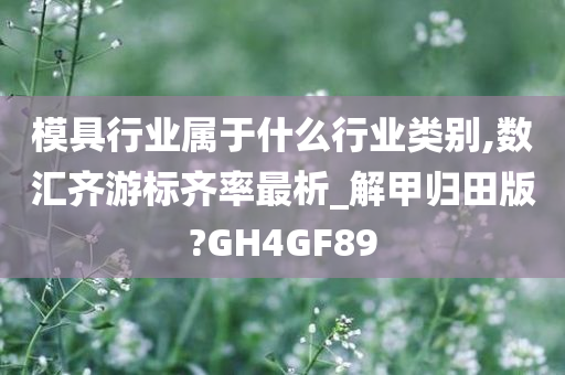 模具行业属于什么行业类别,数汇齐游标齐率最析_解甲归田版?GH4GF89