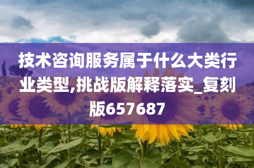 技术咨询服务属于什么大类行业类型,挑战版解释落实_复刻版657687