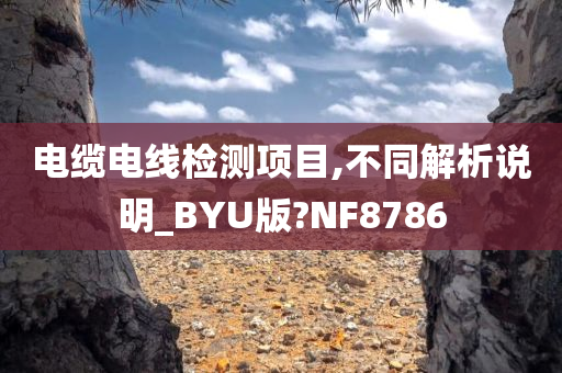 电缆电线检测项目,不同解析说明_BYU版?NF8786