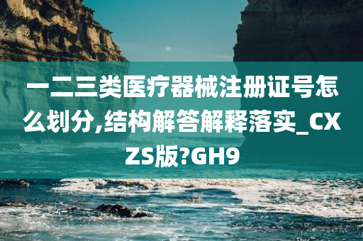 一二三类医疗器械注册证号怎么划分,结构解答解释落实_CXZS版?GH9