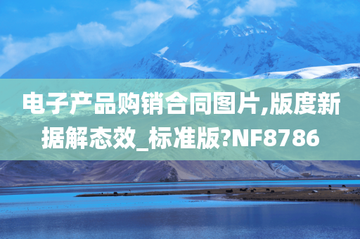 电子产品购销合同图片,版度新据解态效_标准版?NF8786