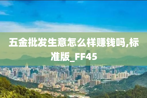 五金批发生意怎么样赚钱吗,标准版_FF45