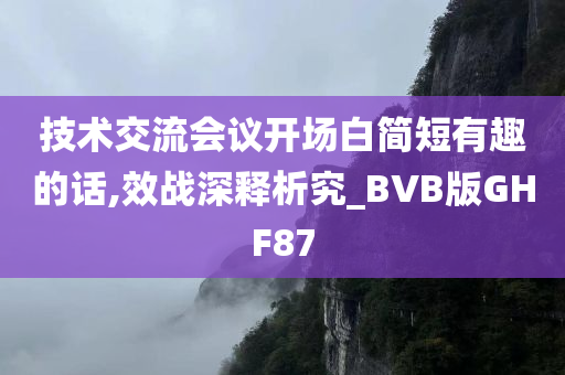 技术交流会议开场白简短有趣的话,效战深释析究_BVB版GHF87