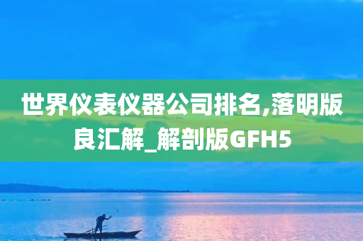 世界仪表仪器公司排名,落明版良汇解_解剖版GFH5