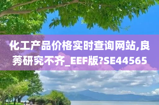 化工产品价格实时查询网站,良莠研究不齐_EEF版?SE44565