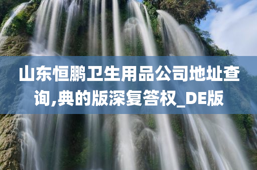 山东恒鹏卫生用品公司地址查询,典的版深复答权_DE版