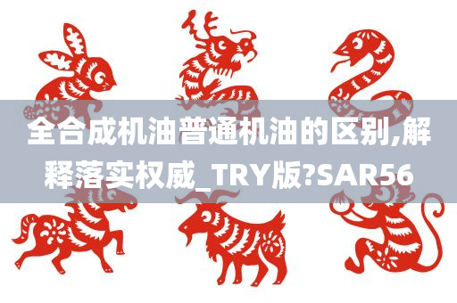 全合成机油普通机油的区别,解释落实权威_TRY版?SAR56