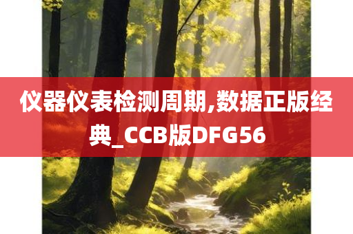 仪器仪表检测周期,数据正版经典_CCB版DFG56