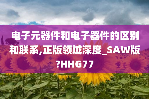 电子元器件和电子器件的区别和联系,正版领域深度_SAW版?HHG77