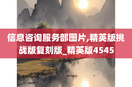 信息咨询服务部图片,精英版挑战版复刻版_精英版4545