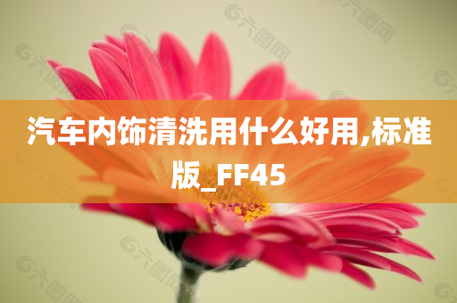 汽车内饰清洗用什么好用,标准版_FF45