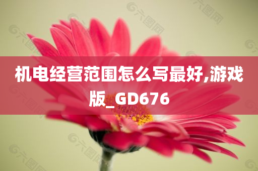 机电经营范围怎么写最好,游戏版_GD676