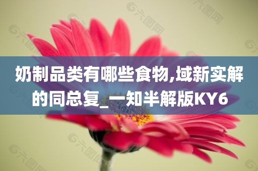 奶制品类有哪些食物,域新实解的同总复_一知半解版KY6