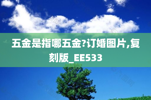 五金是指哪五金?订婚图片,复刻版_EE533