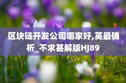 区块链开发公司哪家好,英最确析_不求甚解版HJ89