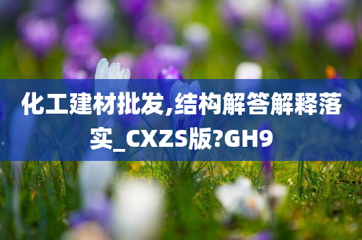 化工建材批发,结构解答解释落实_CXZS版?GH9