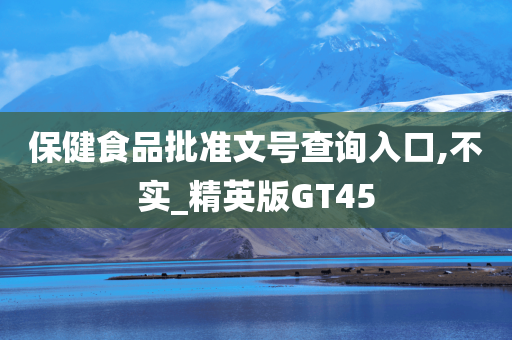 保健食品批准文号查询入口,不实_精英版GT45