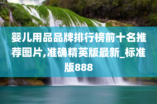 婴儿用品品牌排行榜前十名推荐图片,准确精英版最新_标准版888