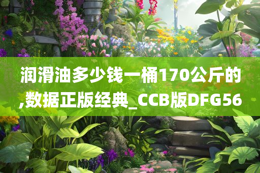 润滑油多少钱一桶170公斤的,数据正版经典_CCB版DFG56