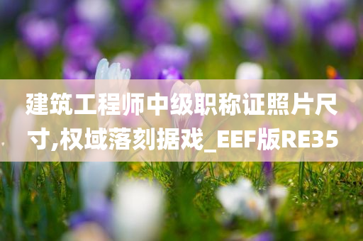 建筑工程师中级职称证照片尺寸,权域落刻据戏_EEF版RE35